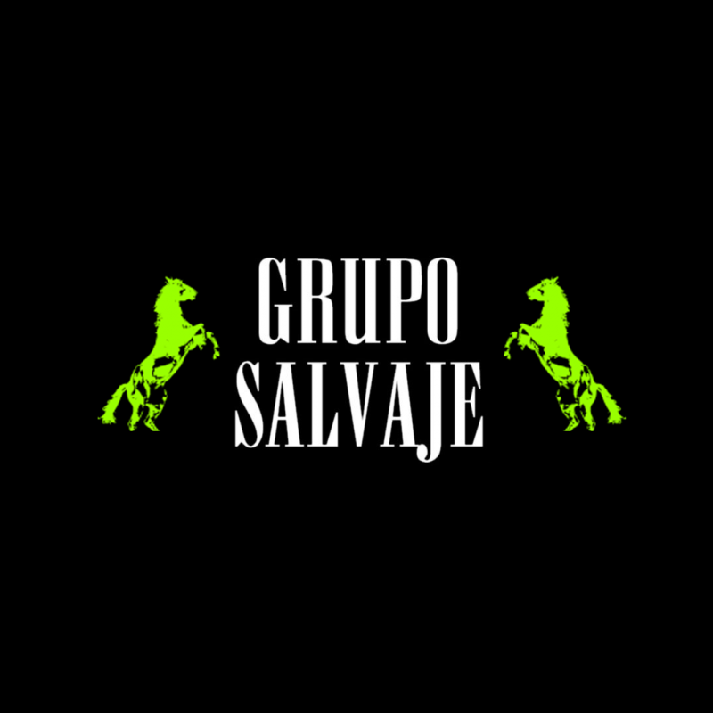 Grupo Salvaje, web hecha por murciègalo en 2013