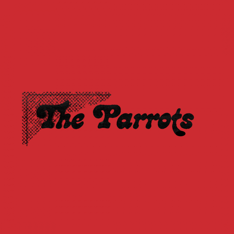 The Parrots, web hecha por murciègalo