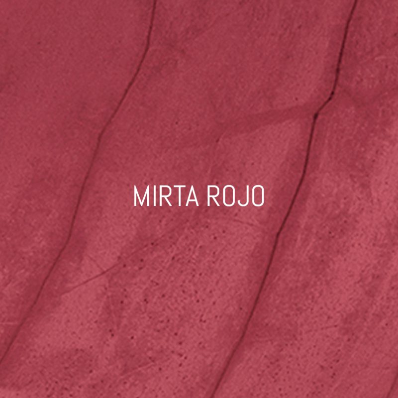 Mirta Rojo, web hecha por murciegalo en 2019